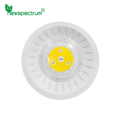 AC110V 220V πλήρες υλικό αργιλίου φάσματος οδηγημένο σπάδικας για το εσωτερικό θερμοκήπιο