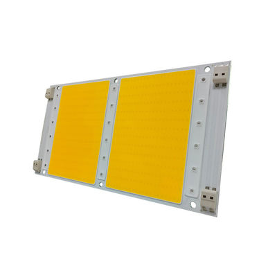 AC220V ΣΠΑΔΙΚΩΝ πηγή φωτός αδιάβροχο 100W σπαδίκων των οδηγήσεων ενότητα
