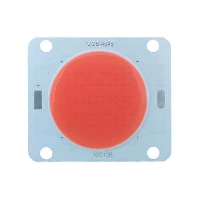 DC Driven Ac Cob Led High Power 20W 30W For Landscape Lighting