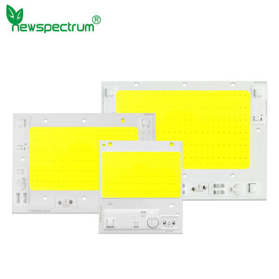 240V Dimming Cob LED Chip 6000K με τάση AC100-240V 50000hrs διάρκεια ζωής