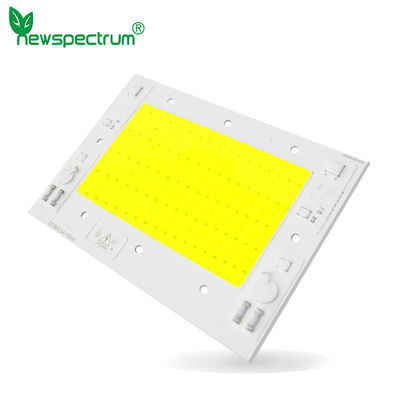 240V Dimming Cob LED Chip 6000K με τάση AC100-240V 50000hrs διάρκεια ζωής