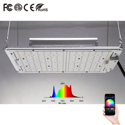 Αποτελεσματική 329pcs Samsung LED Κβαντικό Πίνακα Για τις ανάγκες φωτισμού
