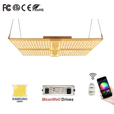 Υψηλής Εντατικότητας 14400lm Lumen LED Quantum Board 50000hrs Μεγάλη διάρκεια ζωής