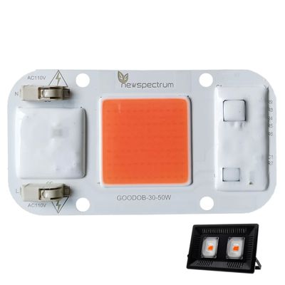 50W COB LED Module 50*50mm Επαγγελματική λύση φωτισμού