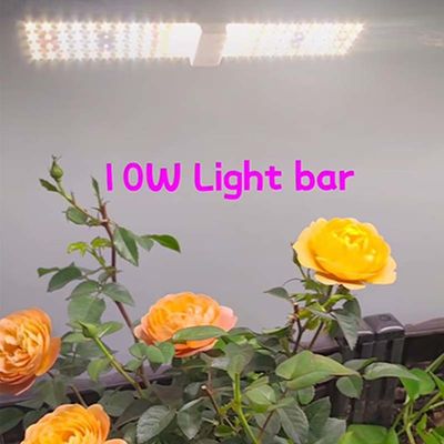 10W LED φώτα φυτικής καλλιέργειας πλήρες φάσμα φώτα φυτικής καλλιέργειας για εσωτερικά φυτά φυτά θερμοκηπίου φυτά φυτά