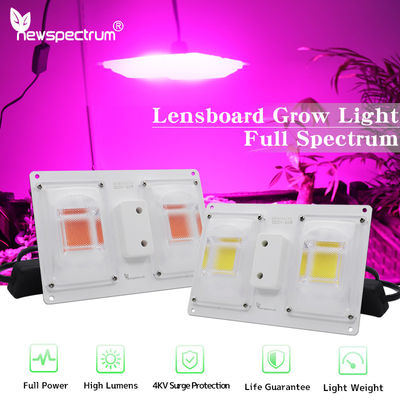 Υψηλής φωτεινότητας LED Chip 110V 220V 50W LED Φώτα φυτών πλήρους φάσματος για εξαιρετικές επιδόσεις φωτισμού -20-50°C